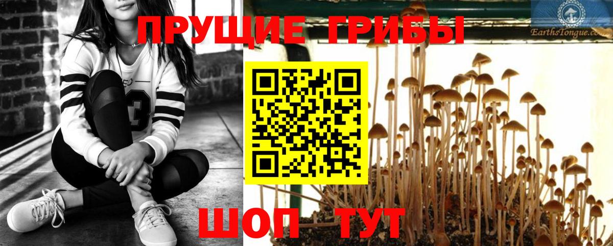 Псилоцибиновые грибы мухоморы  Вход с VPN  Иваново 