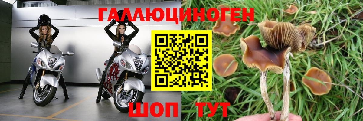 ГАШИШ Иваново