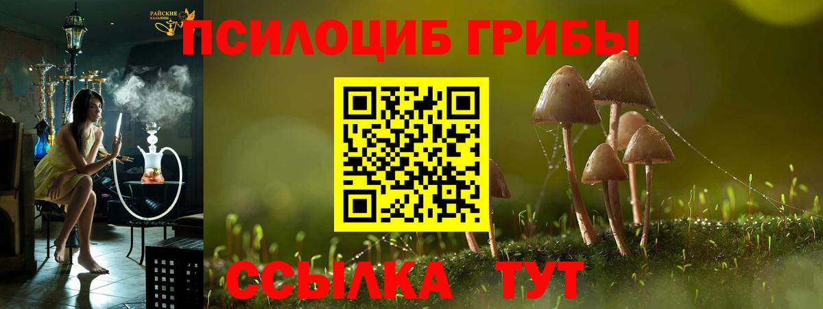 Галлюциногенные грибы Magic Shrooms Иваново